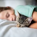 猫は飼い主と一緒に寝ると嬉しい？『添い寝』にまつわる4つの心理