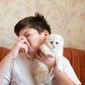 猫を急に臭いと感じる原因4つ！気をつけたい症状と対処法