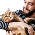 猫に飼い主がしがちな『余計なお世話』4つ　ストレスを与えない適切な…