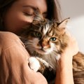 『猫アレルギー』の人が絶対してはいけない行為5つ！症状を抑えるための方…