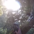 工事の音に驚いて木に登ってしまった猫が5日たっても降りてこない…