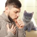 猫インフルエンザが人にうつるかもしれない！予防できる方法はある？