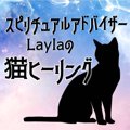 Laylaの猫占い マンチカンちゃんから飼い主へのメッセージ