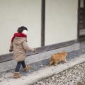 猫が飼い主の前を歩く５つの心理