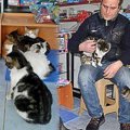 “猫ファースト”を宣言するお店…野良猫と店主の絆に感涙！