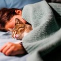 猫と『一緒に寝るとき』のNG行為4選　幸せな時間を台無しにしないために