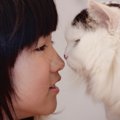 猫は人間の言葉を理解しているのか？