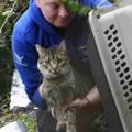 巨大竜巻に襲われた猫たち…逃げ回る猫の救出方法は？