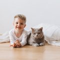 猫と幼児の暮らし 注意すべき4つのこと