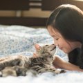 猫が子供や病気の動物をいたわる６つの理由