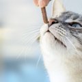 猫にタケノコは食べさせても大丈夫？効果や注意する事