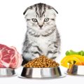 【獣医師監修】猫は人間の食べ物を食べても大丈夫？食べていいもの悪…