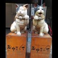 猫好きの聖地「谷中銀座商店街」絶対行きたい猫スポット３選