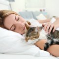 猫との『添い寝』での注意点5つ！共に快適に眠るための方法とは