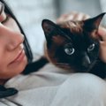 猫と触れ合うと『心が癒える』のはなぜ？考えられる５つの理由