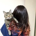 猫が人の髪の毛をなめる３つの理由