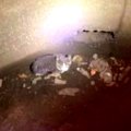 穴の底から子猫の鳴き声…助けたい思いが繋いだ救助の輪に感涙！