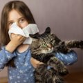 『猫アレルギー』の症状7つ　原因と発症したときに考えるべきこと