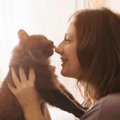 猫が『記憶しやすい言葉』4選！より覚えやすくするコツも解説