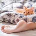 猫が『足の間で眠る』のはなぜ？4つの気持ち