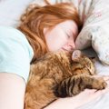 愛猫が『眠る位置』でキモチがわかる！5つのパターン別に解説　あなたへの…
