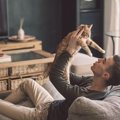 『一人暮らしで猫と一緒に暮らす』なら注意したいこと5選