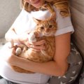 猫と暮らす『妊婦さん』が気を付けるべきこととは？4つの注意点と理由…