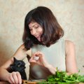 猫にセロリを与えない方が良い理由と食べたときの対処法