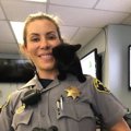 警察署に救いを求めて迷い込んだ子猫
