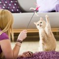 もういらニャい!? 猫がおもちゃに飽きないコツと興味を復活させる方法