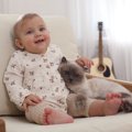 猫に『赤ちゃん言葉』が凄くいいと言われている4つの理由！話しかける…