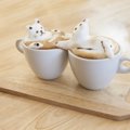 大阪の人気の猫カフェ有名店8つをご紹介！