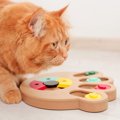 猫が楽しく遊べる『一人遊び用おもちゃ』5選　お留守番やお相手できな…
