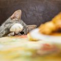 猫はらっきょうを食べちゃダメ！理由と食べた時の対処法