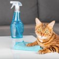 猫にまつわる掃除で使える！自然由来のアイテム7選　「お茶」や「重曹…