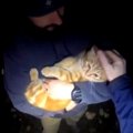 木の上で3日間も立ち往生する子猫…夜の救出活動の行方は？