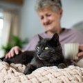 猫からも人にうつるトキソプラズマ症は「高齢者を虚弱にする」　米国の研究