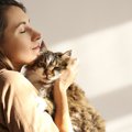 猫の老化で現れる『心・体の変化』7つ！飼い主がすべき対策とは？