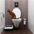 猫用全自動トイレのオススメ商品2選！その特徴や使い方
