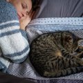 『お尻を向けて寝る猫』の心理4つ！人との距離によっても変わるの？