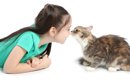 猫からの『危険な臭い』に要注意！3つの原因と対処法