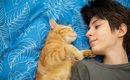 猫が飼い主に『くっついて寝る』ときの心理5つ