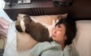 猫が『睡眠中の飼い主の枕』を奪った結果……最高に幸せな結末に50万人…