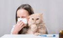 『猫アレルギー』の症状7つ！発症前にできる予防方法とは