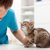 猫の疥癬の症状と治療法や予防法について