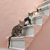猫用の階段おすすめ商品８選！選び方から手作りする方法まで