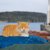 猫のいる港「象潟（きさかた）漁港」