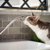 猫の水飲みに給水器が良い理由とオススメの商品4選