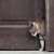 猫の脱走防止扉のタイプ3つとその選び方
