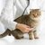 猫の健康診断の料金とその検査内容、受ける頻度について